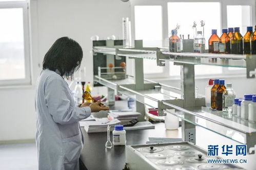 合汽生材 科技賦能飼料業，網絡技術研發引領產業升級